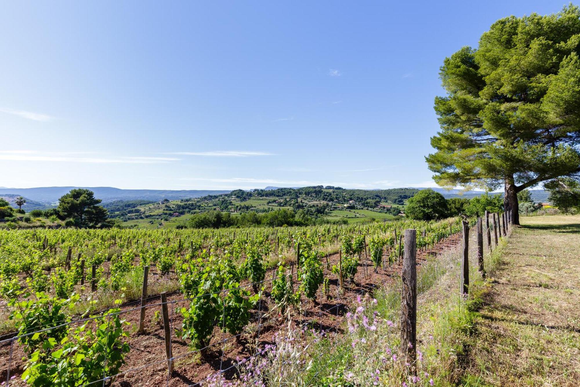 Lodges Park Castellet Provence: Vineyard Gites Near Beaches and F1 Circuit Le Beausset Room photo